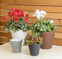 Plastic plant pot HOOPfree-standinground