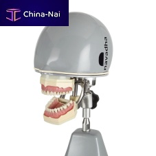 Training simulator NA258anesthesiafor dental surgerydental care