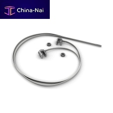 Pediatric posterior spinal fixation band BandLoc