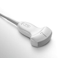 Convex-array ultrasound transducer C5-1abdominalmusculoskeletal