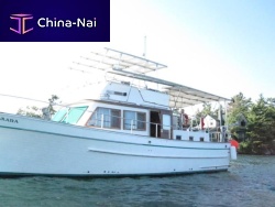 Power boat hard-top