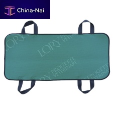 Evacuation sheet BAR005