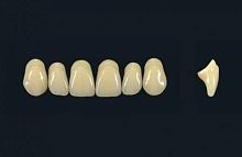 Polymer acrylic dental prosthesis TRIBOS 501 T66-UJ-C2anterior teeth