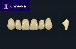 Polymer acrylic dental prosthesis TRIBOS 501 T66-UJ-C2anterior teeth