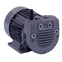 Dry vacuum pump single-stagewith electric actuator