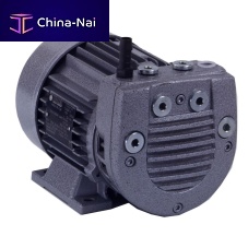 Dry vacuum pump single-stagewith electric actuator
