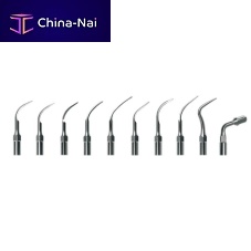 Piezoelectric ultrasonic insert T1for scalingstainless steel