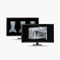 Bone densitometry software DR. DXA VETveterinaryanalysismonitoring
