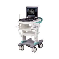 Portable, with trolley ultrasound system EC50Afor multipurpose ultrasound imagingB/Wbuilt-in console