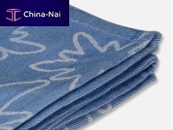 Airliner pillow