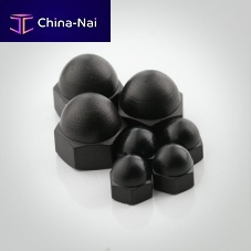 Cap nut 20 / 21 seriessteel