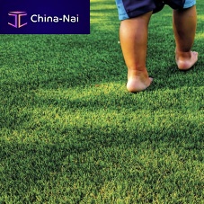 Synthetic grass SUPREMErollfor gardenmultifunctional