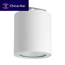 Surface mounted downlight PRETTUS SpendantLEDround