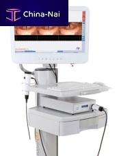 Laryngoscopic column FEES