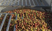 Sorting fruit juice production line storage