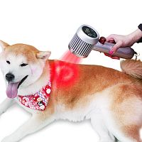 Diode veterinary laser VET-CureS hand-held