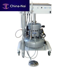 Portable dental delivery system 54022veterinary