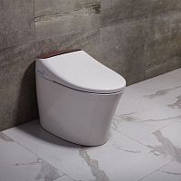 Smart toilet TA-830ZAfree-standingceramicrimless