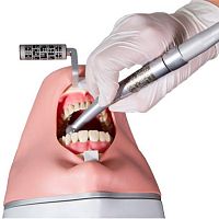 Dental surgery patient simulator dental carehead