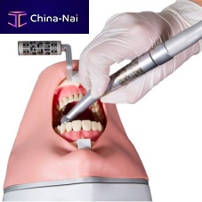 Dental surgery patient simulator dental carehead