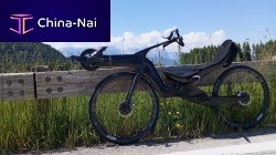 Adult recumbent bicycle ULTRA roadcrank-propelled