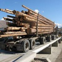 Truck weighbridge 7563for vehiclessteelrugged