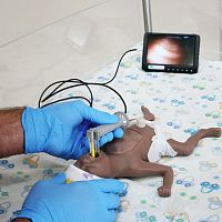 Pediatric video laryngoscope NeoScopesingle usewith blade