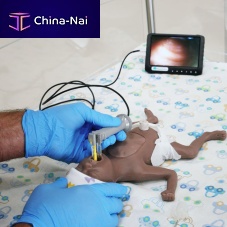 Pediatric video laryngoscope NeoScopesingle usewith blade