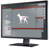 Veterinary radiology software Aria managementvisualizationdiagnostic