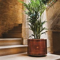 Mahogany planter LONDONpalisanderrosewoodmaple