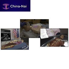 Training simulation module VH Dissectoranatomysurgicalaugmented reality