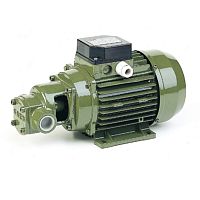 Gear pump CFfor clear waterelectricstationary