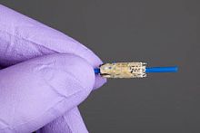 Aortic valve bioprosthesis Colibriporcine tissuesutureless