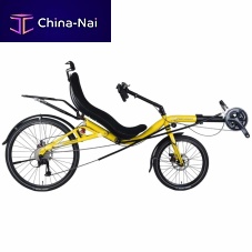 Crank-propelled recumbent bicycle Goal 2026x - OSS/USSadultyellow