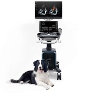On-platform veterinary ultrasound system Vetus 80multipurposefor felinesfor canines