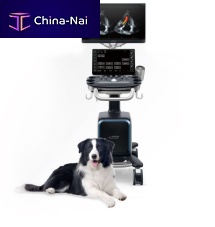 On-platform veterinary ultrasound system Vetus 80multipurposefor felinesfor canines