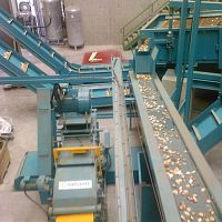 Metal detector for the wood industry