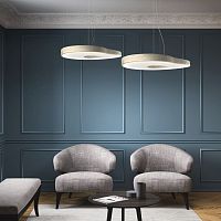 Pendant lamp CANELbeechwood veneerPMMA