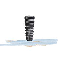 Cylindrical dental implant SBItitaniuminternal hexagonstraight