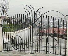 Swing gate 1wrought ironwith barshome