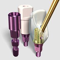 Titanium implant abutment SMARTbaseinternal hexagonstraightCAD/CAM