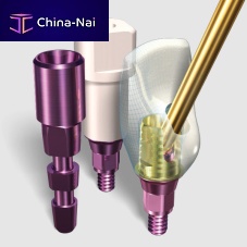 Titanium implant abutment SMARTbaseinternal hexagonstraightCAD/CAM