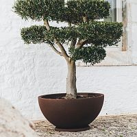 Rotomolded polyethylene planter ROME : ATENAroundweatherproofUV-resistant