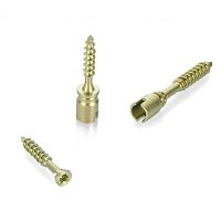 General purpose compression bone screw Z-SnapOfffoothandbreak-off