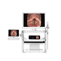 ENT endoscopy column EF