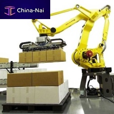 Articulated robot 2-axisloadingpackaging