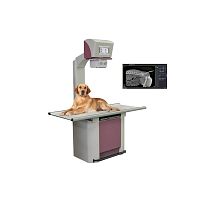 Veterinary X-ray system digitalwith table