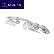 CT Scan veterinary test phantom RPOXIX-ray
