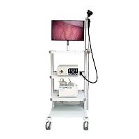 Video veterinary gastroscope BVI15 Vetfor small animalsfor large animalswith working channel
