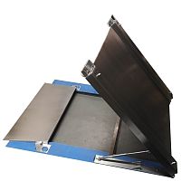 Low-profile platform scale PL4R/TRraisable platformelectronickg
